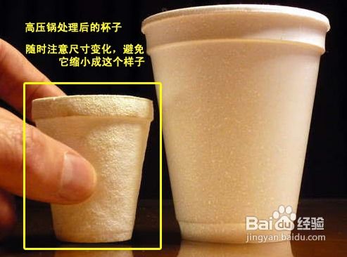 巧手匠心 將一次性泡沫塑料杯變身為創(chuàng)意花瓶